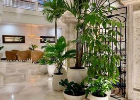 Hotel Almirante Cartagena Colombia 3