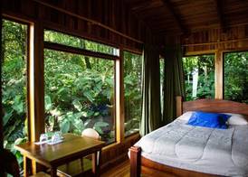 Hotel Flor de Bromelia 5