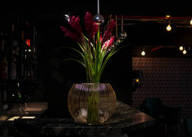 Hotel Britania Crystal Collection 4