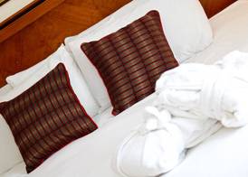 Apollo Hotel 4