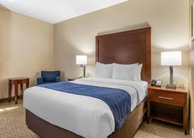 Comfort Inn Near Greenfield Village 5