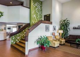 Sleep Inn & Suites Niantic North 4