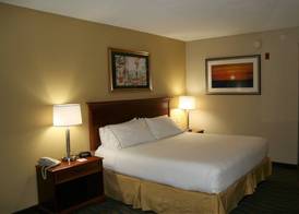 Holiday Inn Express & Suites BROOKSVILLE WEST by IHG 5