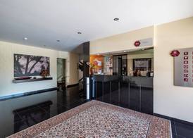 Hotel Colmeia 2