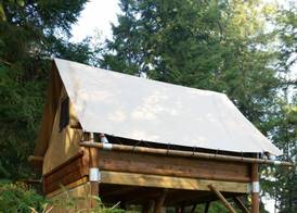 AZUR Waldcamping Auwaldsee 5