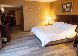 Holiday Inn Express & Suites TUSCALOOSA-UNIVERSITY by IHG 4