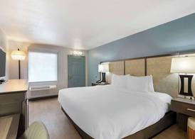 Best Western Plus St. Simons 5