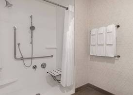 Holiday Inn Express & Suites St Thomas 5