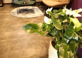 Kalvin Boutique Hotel by Levinsky Market Tel-Aviv 2
