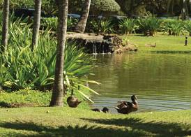 Kauai Beach Villas 2