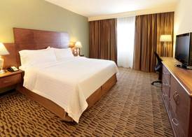 Holiday Inn MONTERREY NORTE by IHG 4