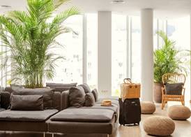 Sunwing Fañabe Beach 3
