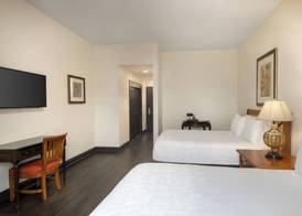 Le Richelieu Hotel in the French Quarter 4