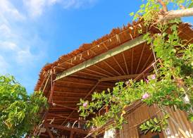 Phi Phi Sea Sky Resort 3