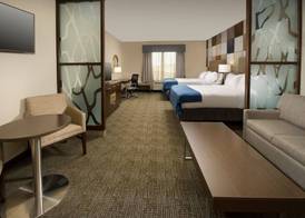 Holiday Inn Express & Suites WACO SOUTH by IHG 5