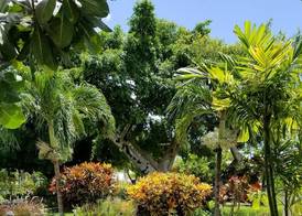 Blue Horizons Garden Resort 2