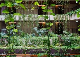 MB GALLERY CHATAN by THE TERRACE HOTELS 2