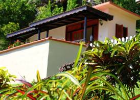 Samfi Gardens 2