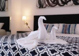 D ́Gecko Hotel 5