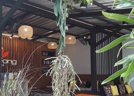 The Fong Krabi resort 5