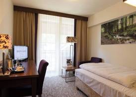 Hotel Mercure Krynica Zdrój Resort&Spa 4