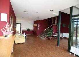 Hotel Amenal 4