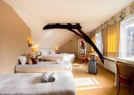 Mercure Moulins Centre Hôtel de Paris 4