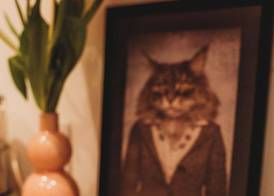 FatCat Apartments 4
