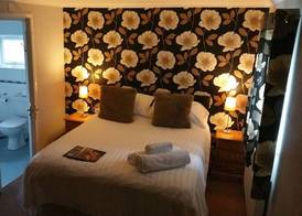 Hotel Plas Hyfryd 4