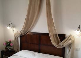 Hotel Tabby 5