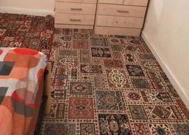Paradise Apartment- Female Only 5
