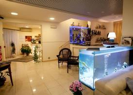 Hotel Il Gatto 3