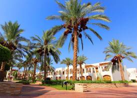 Coral Hills Resort Sharm El-Sheikh 4