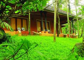 Banasura Hill Resort 3