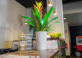 Amical Hotel Hagen 4