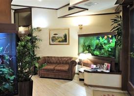Hotel Accursio 3