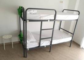 Albergue O Trisquel 4