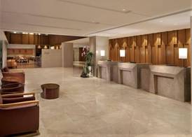Ion Hotel 2