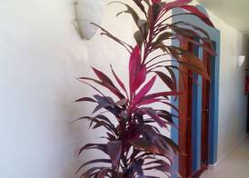 Mazatlan 4