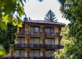 Soldanella by Hotel Adula 2