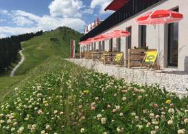 Schmiedhof Alm 4