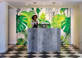 Coco Palm 3