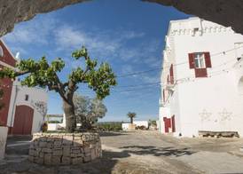 Masseria Torre Coccaro 2
