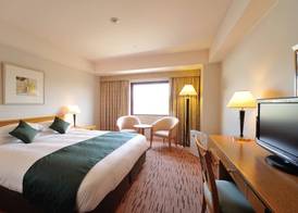 Hiroshima Airport Hotel 5