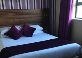 Mourne Country Hotel 5