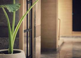 Hyatt Place Vijayawada 4