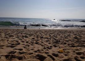 Sun Sea and City 4