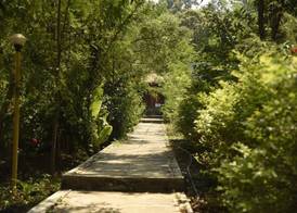 Wild Camp- The Nature Resort 2