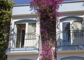 Smart Stay Beach Bodrum -All Inclusive 5
