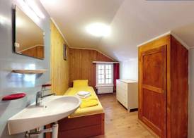 Gadmen Alpenrose Switzerland 5
